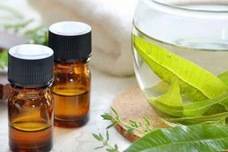 Melissa Essential Oil