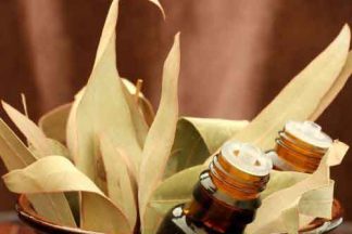 Eucalyptus Essential Oil
