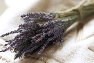 Dried Lavender Flowers