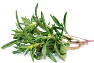 Thyme Hydrolat